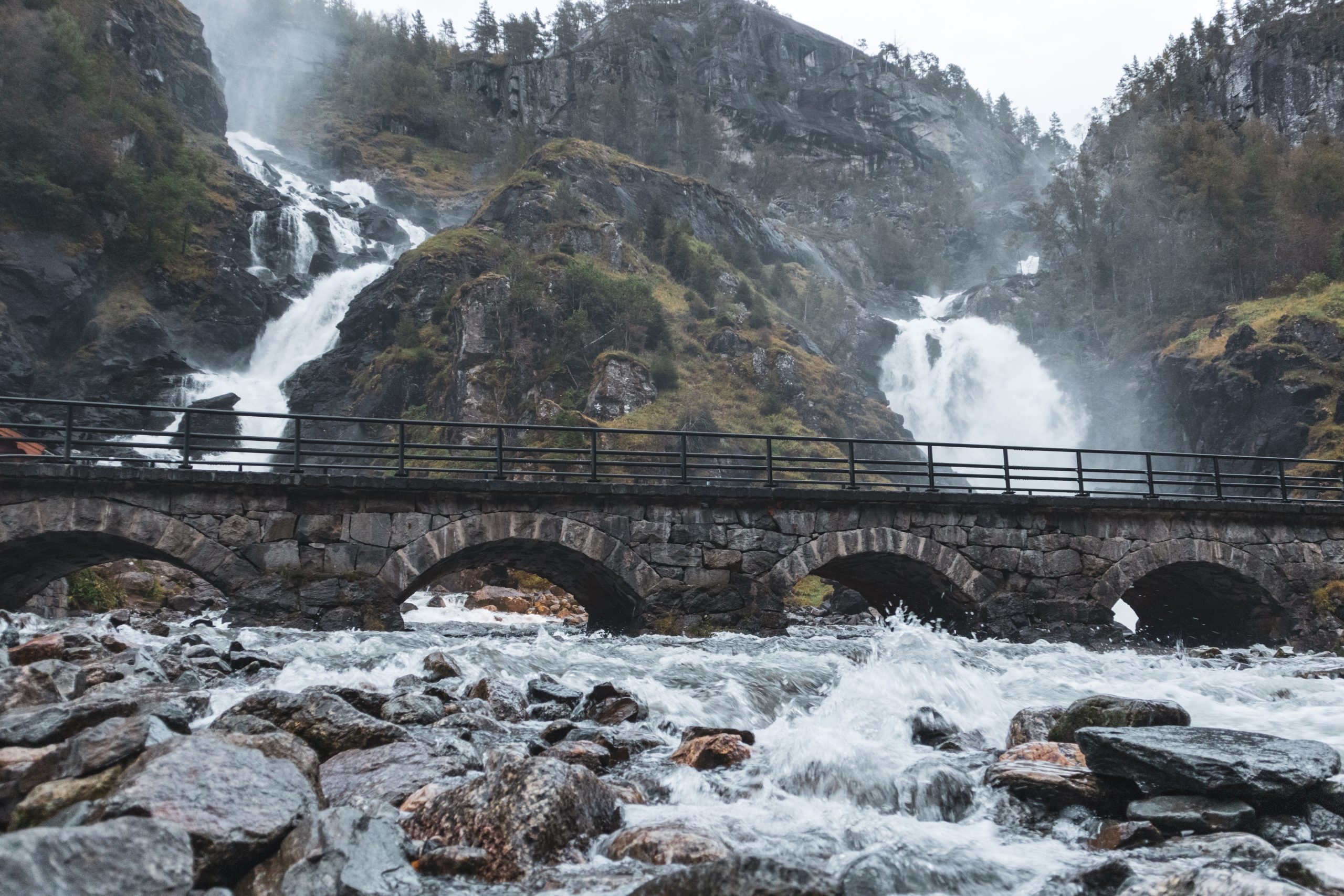 A wooden bridge leading forward through a green landscape — the invitation to cross together