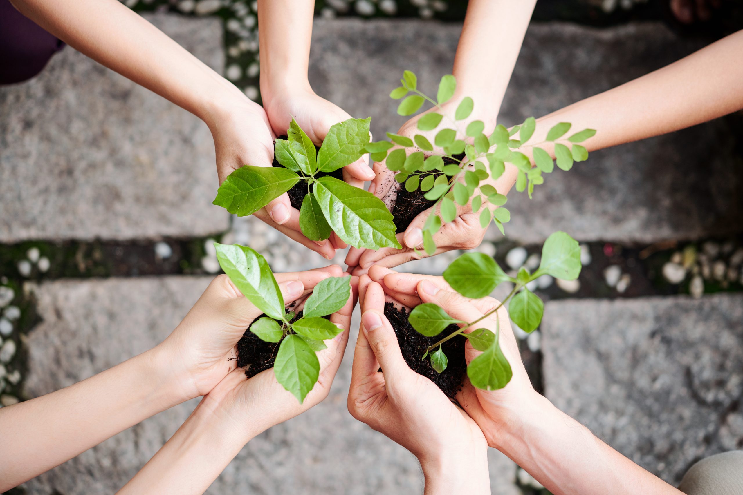 Growth and support in professional life