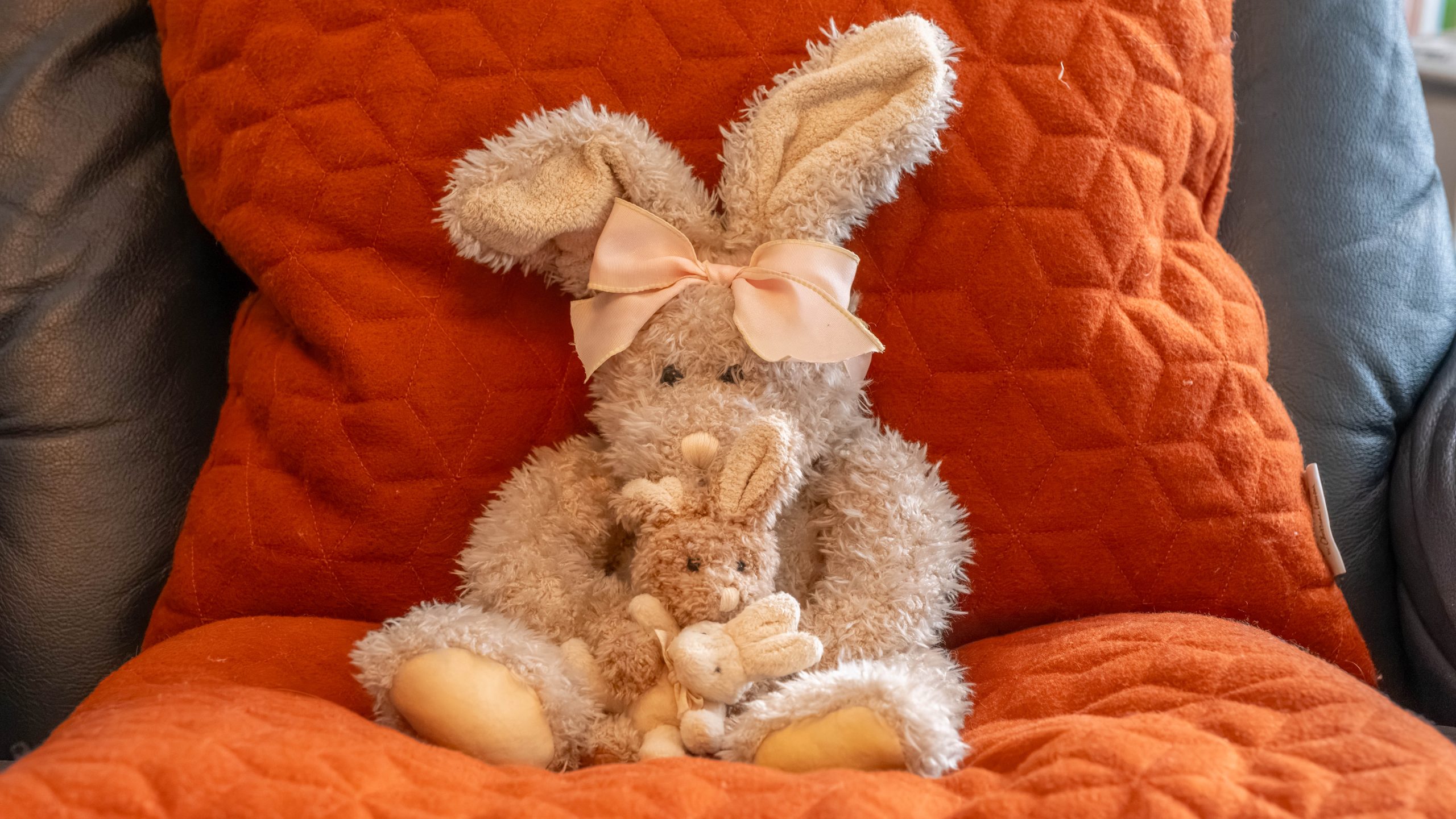 Two cuddly toys in a chair